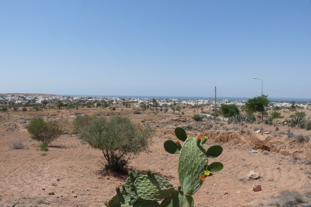 uitzichtoverguellala.jpg