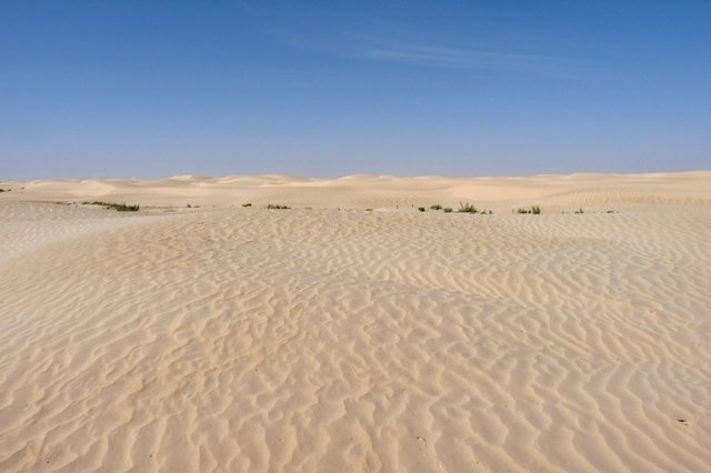 woestijnlandschap.jpg