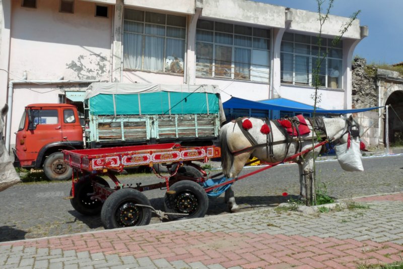 bergamapaardenwagen.jpg