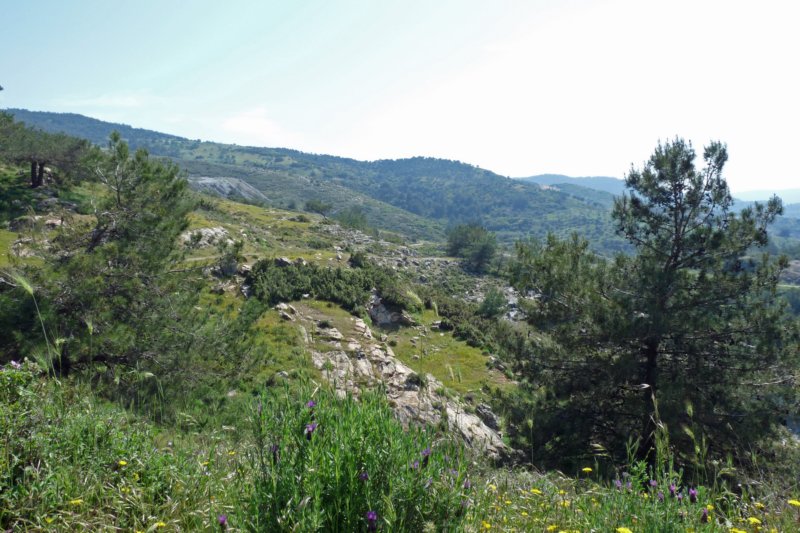 wandelingcamlik2.jpg