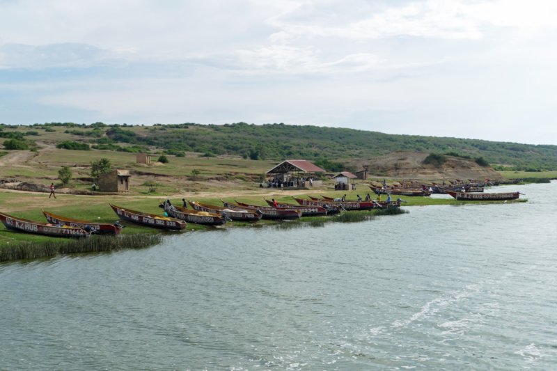 kazingakanaalkazinga.jpg