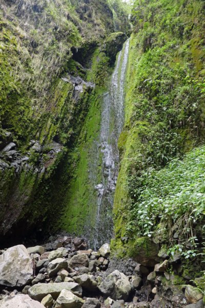 mgahingagorillanpsabinyogorge.jpg