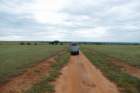 murchisonfallssafari2_small.jpg