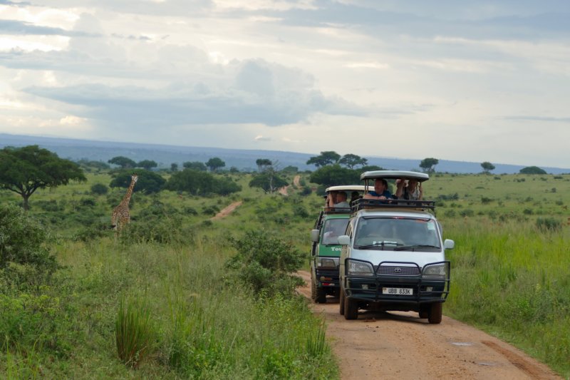 murchisonfallssafari3.jpg