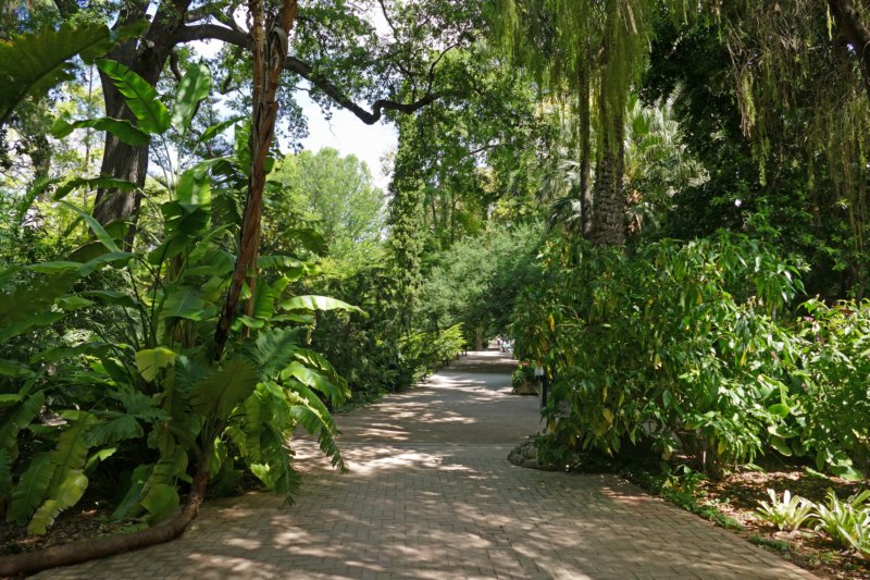 jardibotanicdevalencia.jpg