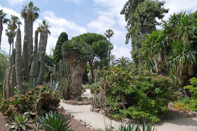 jardibotanicdevalencia5.jpg