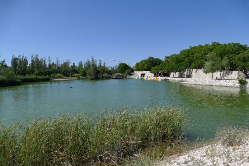 parquedecabecera.jpg