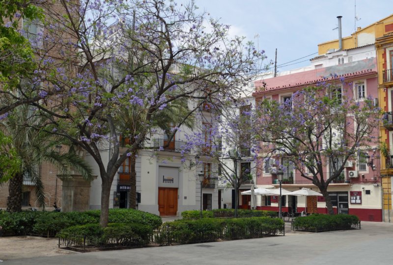 plazacarmen.jpg