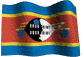 Vlag Swaziland